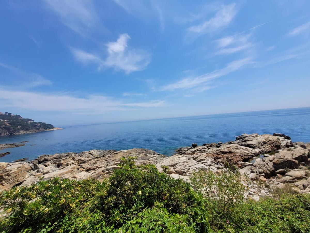 Playa Canadell Mar P Primera Linea De Mar Con Terraza Calella De Palafrugell Exteriör bild